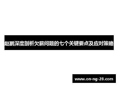 赵鹏深度剖析欠薪问题的七个关键要点及应对策略