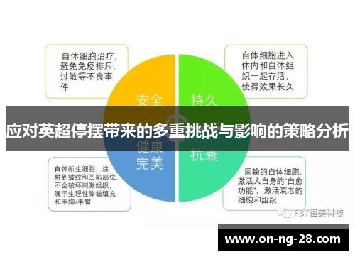 应对英超停摆带来的多重挑战与影响的策略分析