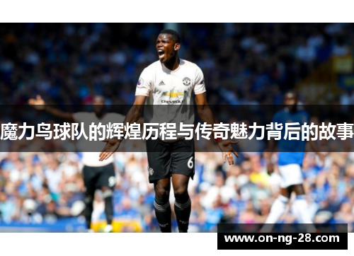 魔力鸟球队的辉煌历程与传奇魅力背后的故事 魔力鸟球队的辉煌历程与传奇魅力背后的故事